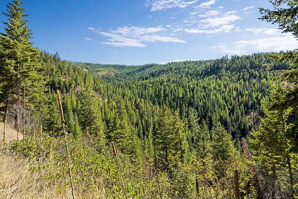640 Acres of Recreational Land for Sale in Libby, Montana