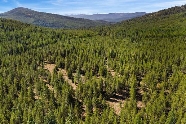640 Acres of Recreational & Residential Land for Sale in Libby, Montana