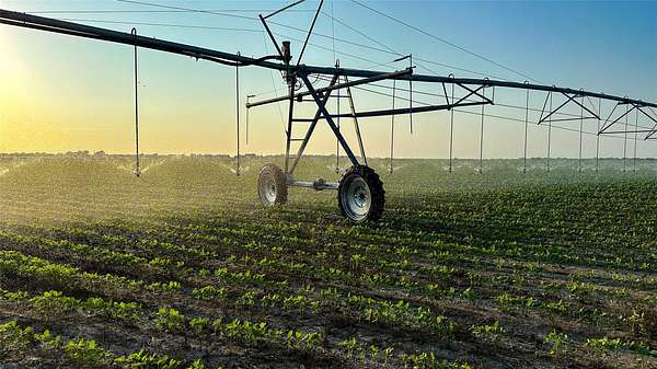 1,229 Acres of Land for Sale in Clarksville, Texas