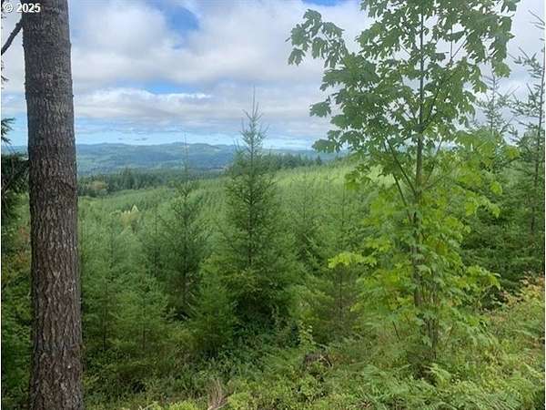 102 Acres of Recreational Land for Sale in Buxton, Oregon