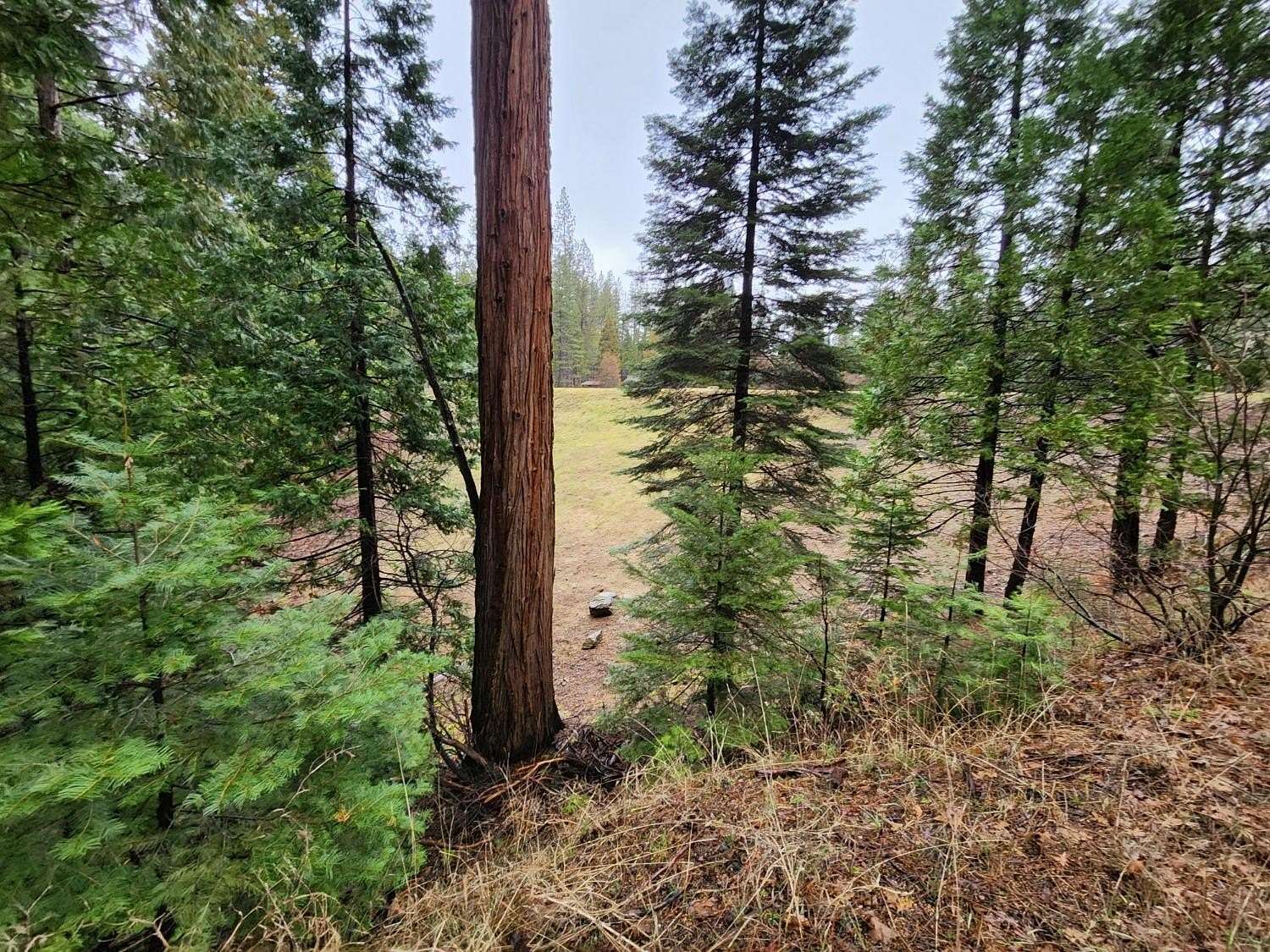 1.28 Acres of Residential Land for Sale in Arnold, California