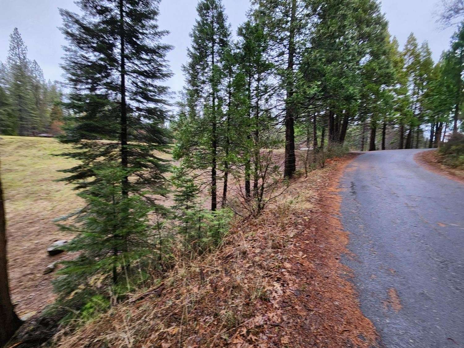 1.28 Acres of Residential Land for Sale in Arnold, California