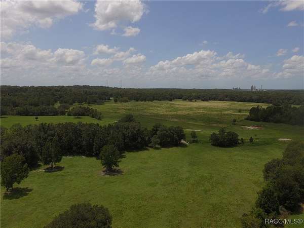 146 Acres of Agricultural Land for Sale in Brooksville, Florida