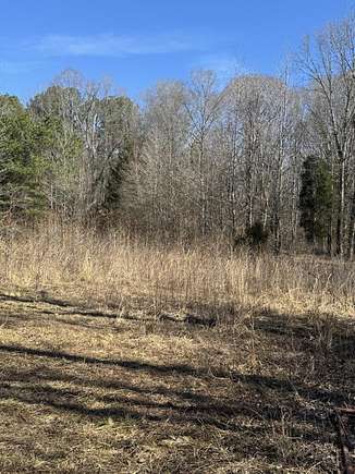 11.5 Acres of Land for Sale in Myrtle, Mississippi