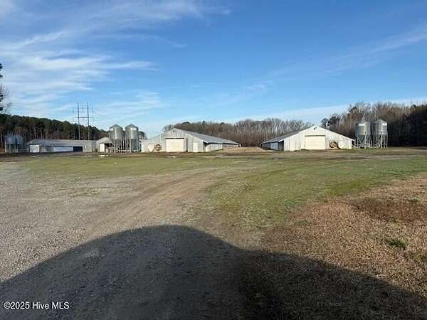 18 Acres of Land for Sale in Woodland, North Carolina