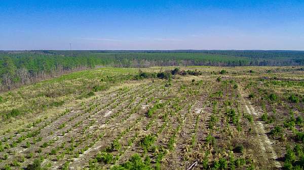 23 Acres of Recreational Land for Sale in Monetta, South Carolina