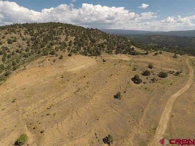 40 Acres of Land for Sale in Bayfield, Colorado