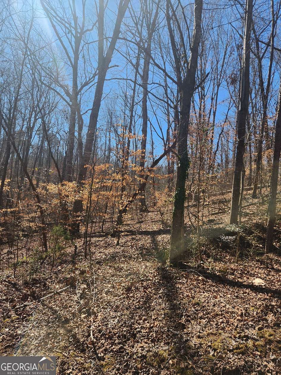 0.33 Acres of Land for Sale in Lavonia, Georgia