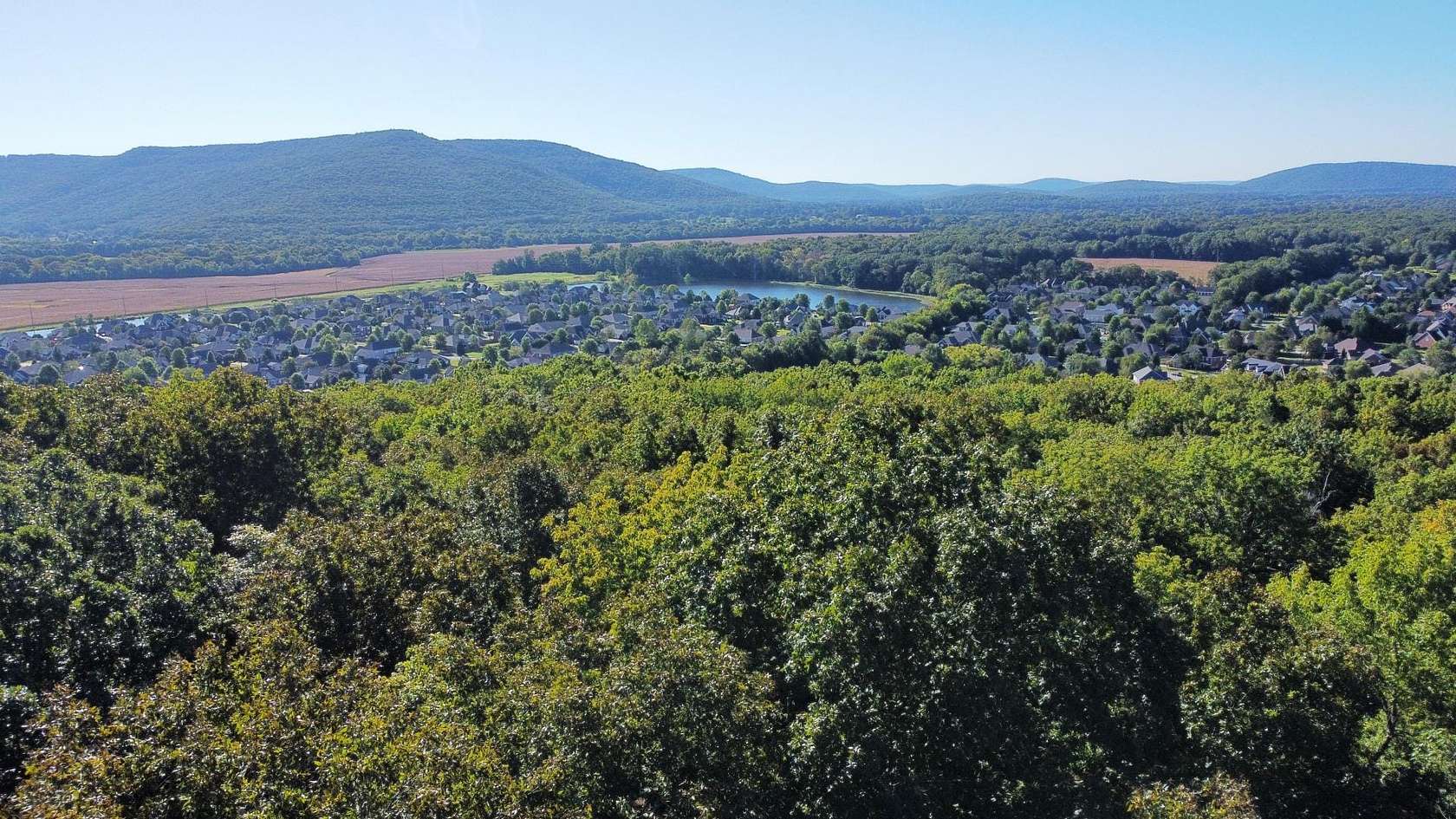 52.9 Acres of Recreational & Residential Land for Sale in Owens Cross Roads, Alabama