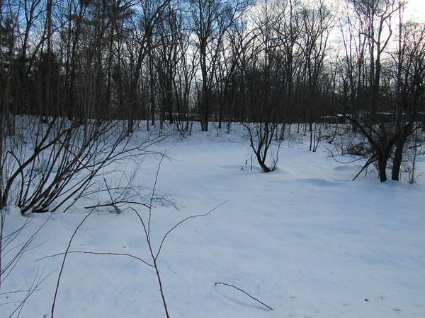 0.62 Acres of Residential Land for Sale in Wellston, Michigan