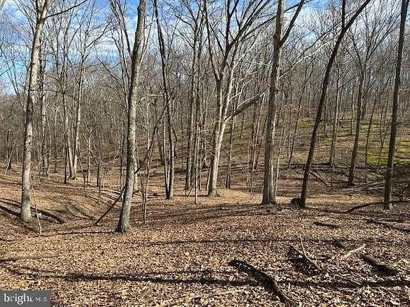 15 Acres of Recreational Land for Sale in Romney, West Virginia