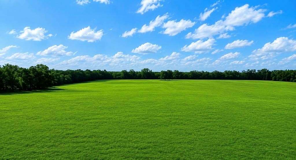80 Acres of Agricultural & Residential Land for Sale in Chiefland, Florida
