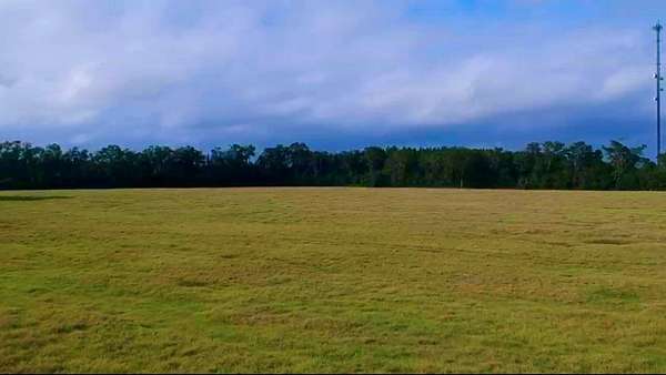 80 Acres of Agricultural & Residential Land for Sale in Chiefland, Florida