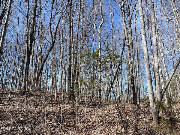 80 Acres of Recreational Land for Sale in Pikeville, Tennessee