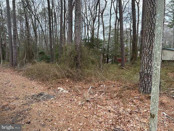 0.26 Acres of Residential Land for Sale in Ocean View, Delaware