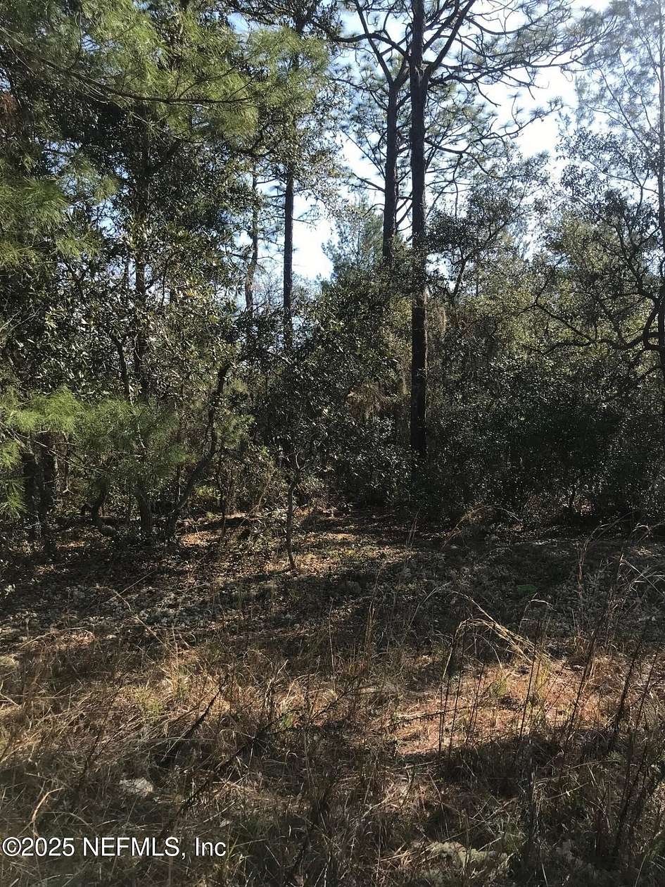 0.23 Acres of Land for Sale in Satsuma, Florida