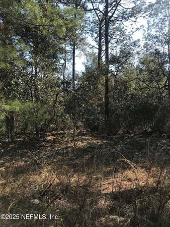 0.23 Acres of Land for Sale in Satsuma, Florida