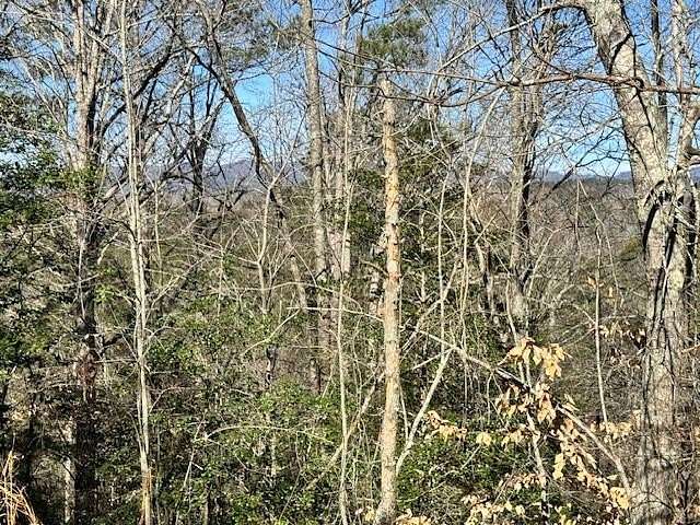 0.5 Acres of Land for Sale in Ellijay, Georgia