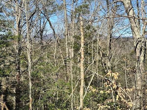 0.5 Acres of Residential Land for Sale in Ellijay, Georgia