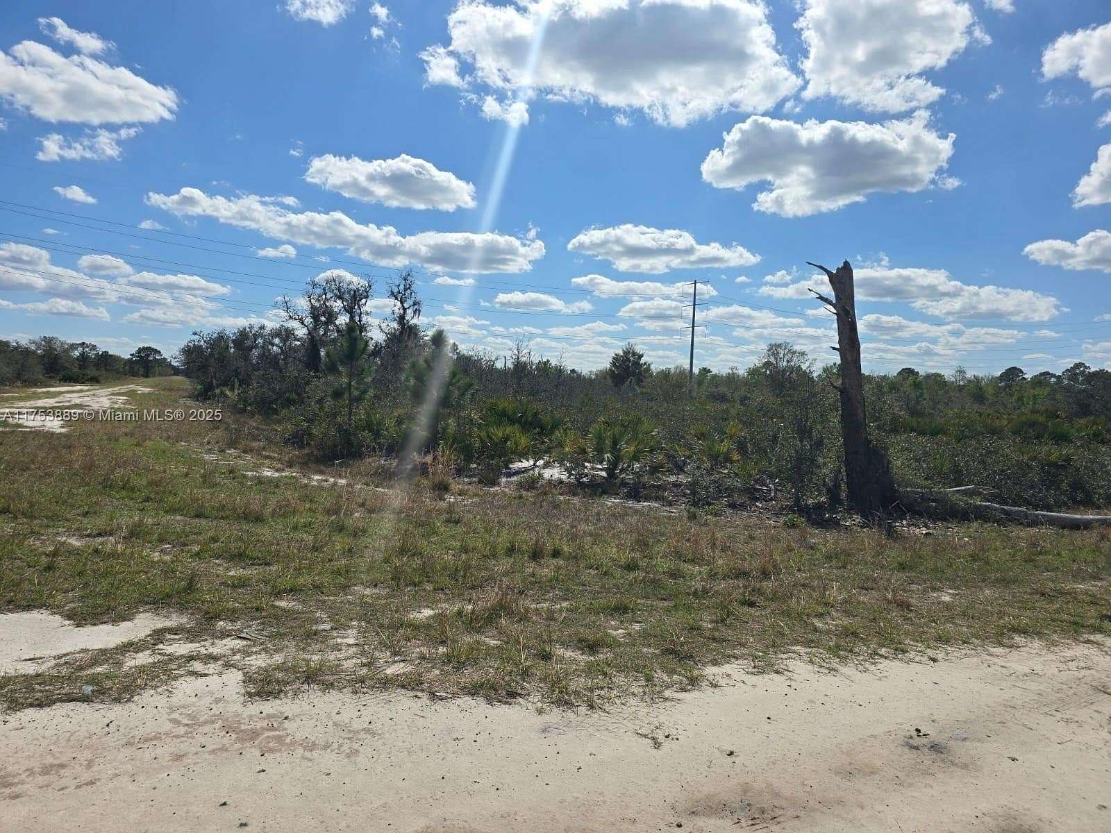 1 Acre of Residential Land for Sale in Avon Park, Florida