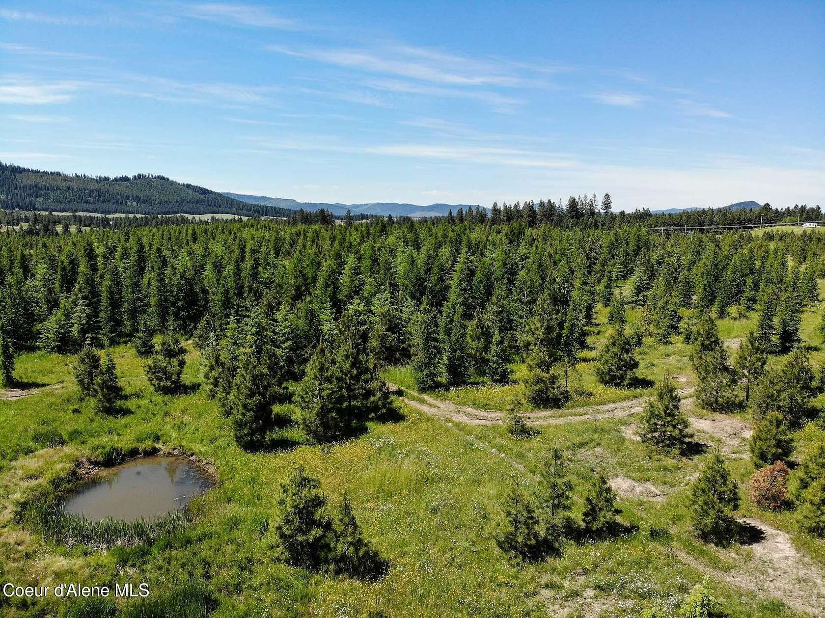 20 Acres of Recreational Land for Sale in Harrison, Idaho