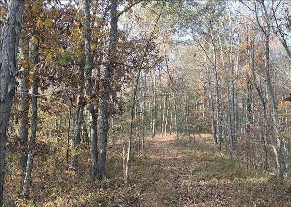 66.6 Acres of Recreational Land for Sale in Wayne, West Virginia