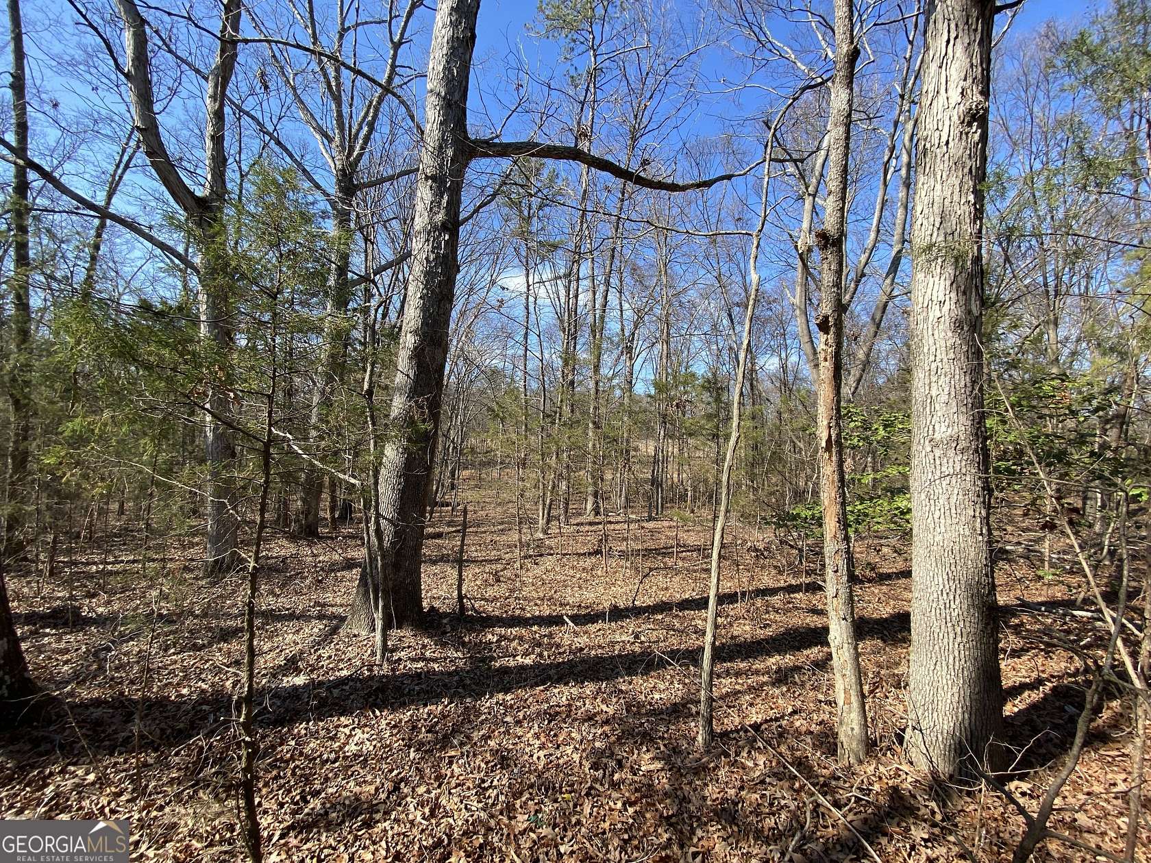 0.56 Acres of Residential Land for Sale in Hartwell, Georgia