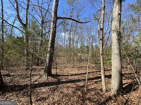0.56 Acres of Residential Land for Sale in Hartwell, Georgia