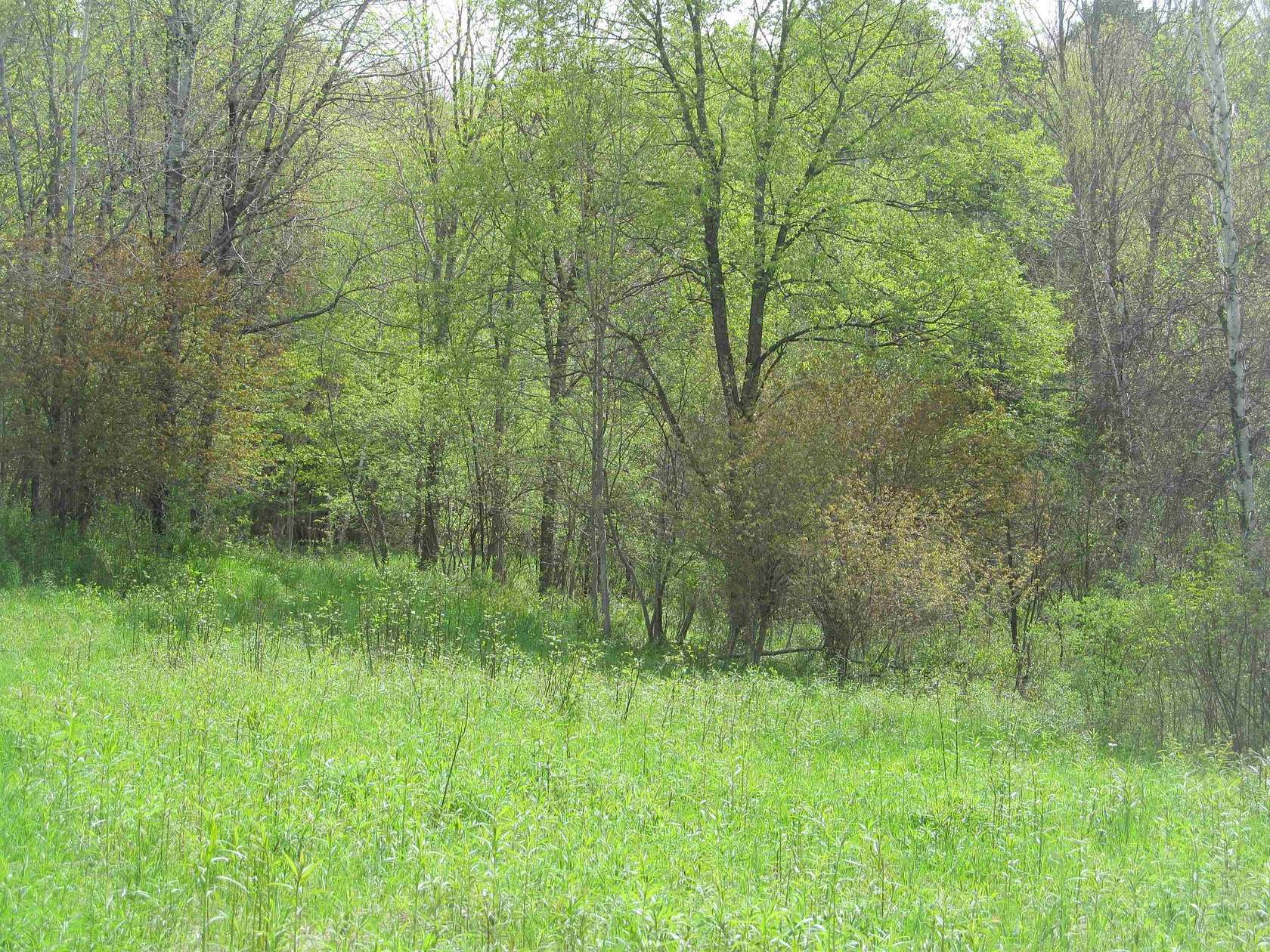 56 Acres of Recreational Land for Sale in Gouverneur, New York