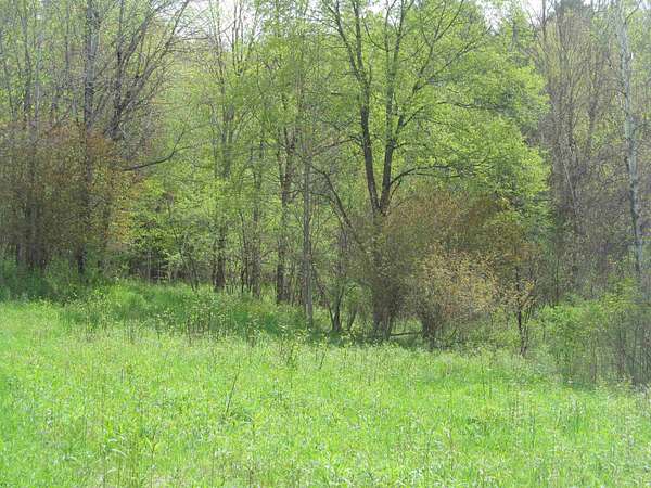 56 Acres of Recreational Land for Sale in Gouverneur, New York
