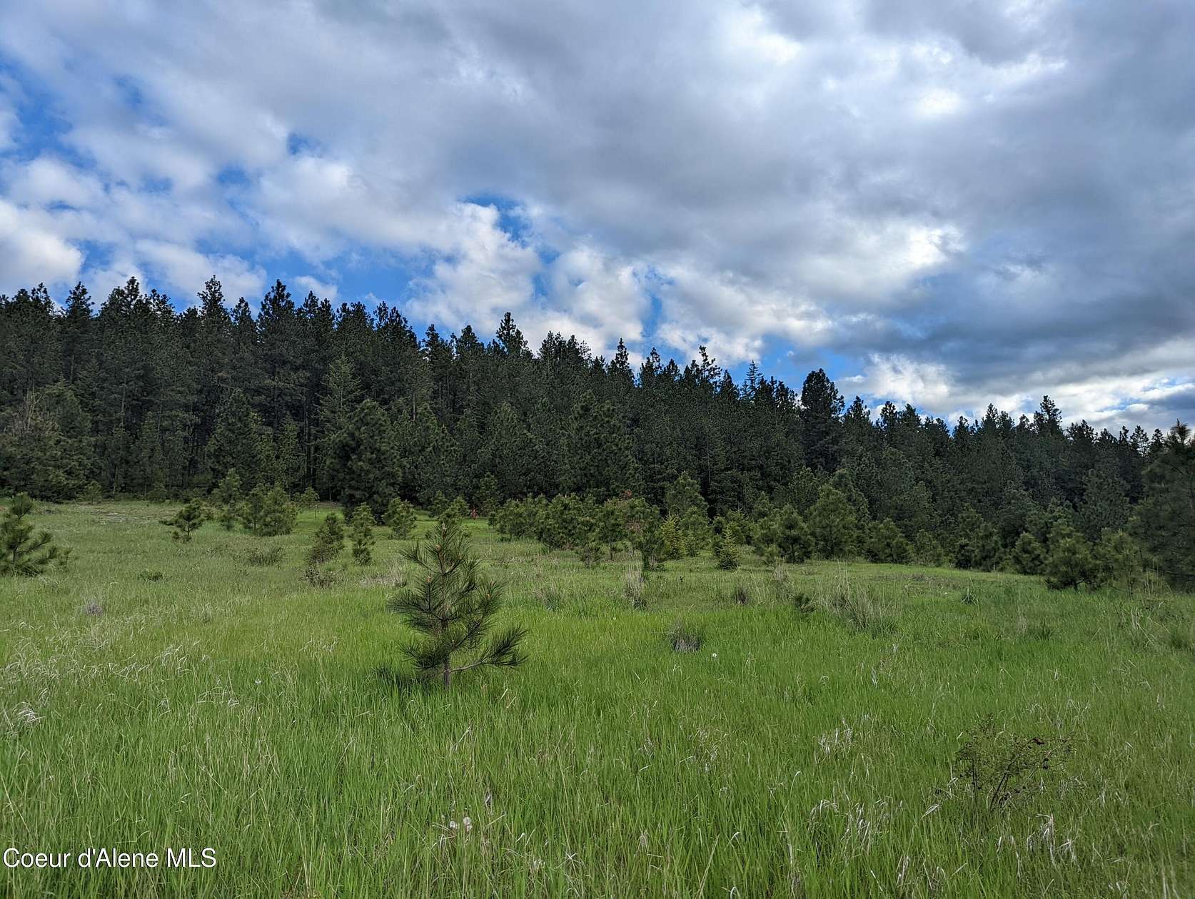 15 Acres of Land for Sale in De Smet, Idaho