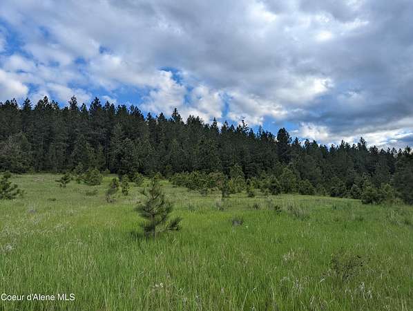 15 Acres of Land for Sale in De Smet, Idaho