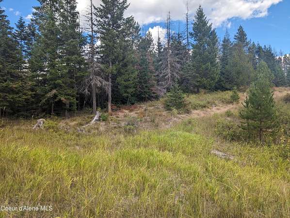 14.8 Acres of Land for Sale in Emida, Idaho