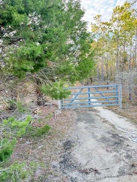 5 Acres of Land for Sale in Steinhatchee, Florida