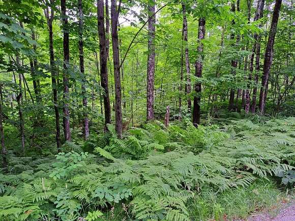 5 Acres of Residential Land for Sale in New Vineyard, Maine