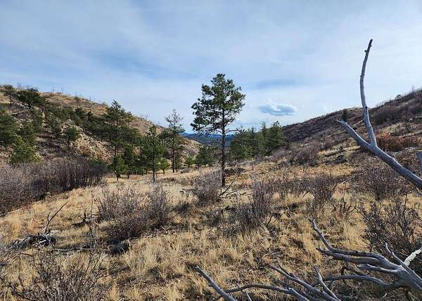 5.1 Acres of Residential Land for Sale in Cotopaxi, Colorado