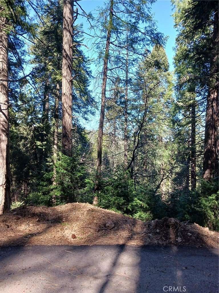0.24 Acres of Land for Sale in Cedarpines Park, California