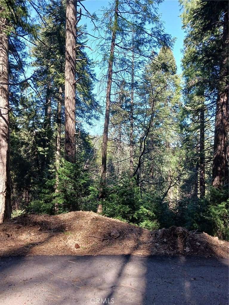0.24 Acres of Land for Sale in Cedarpines Park, California