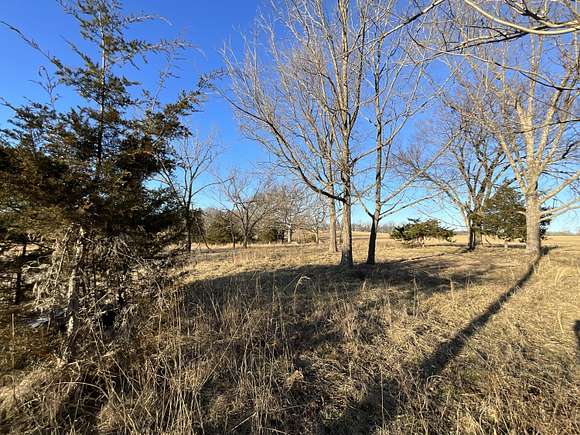 46 Acres of Recreational Land for Sale in Alton, Missouri