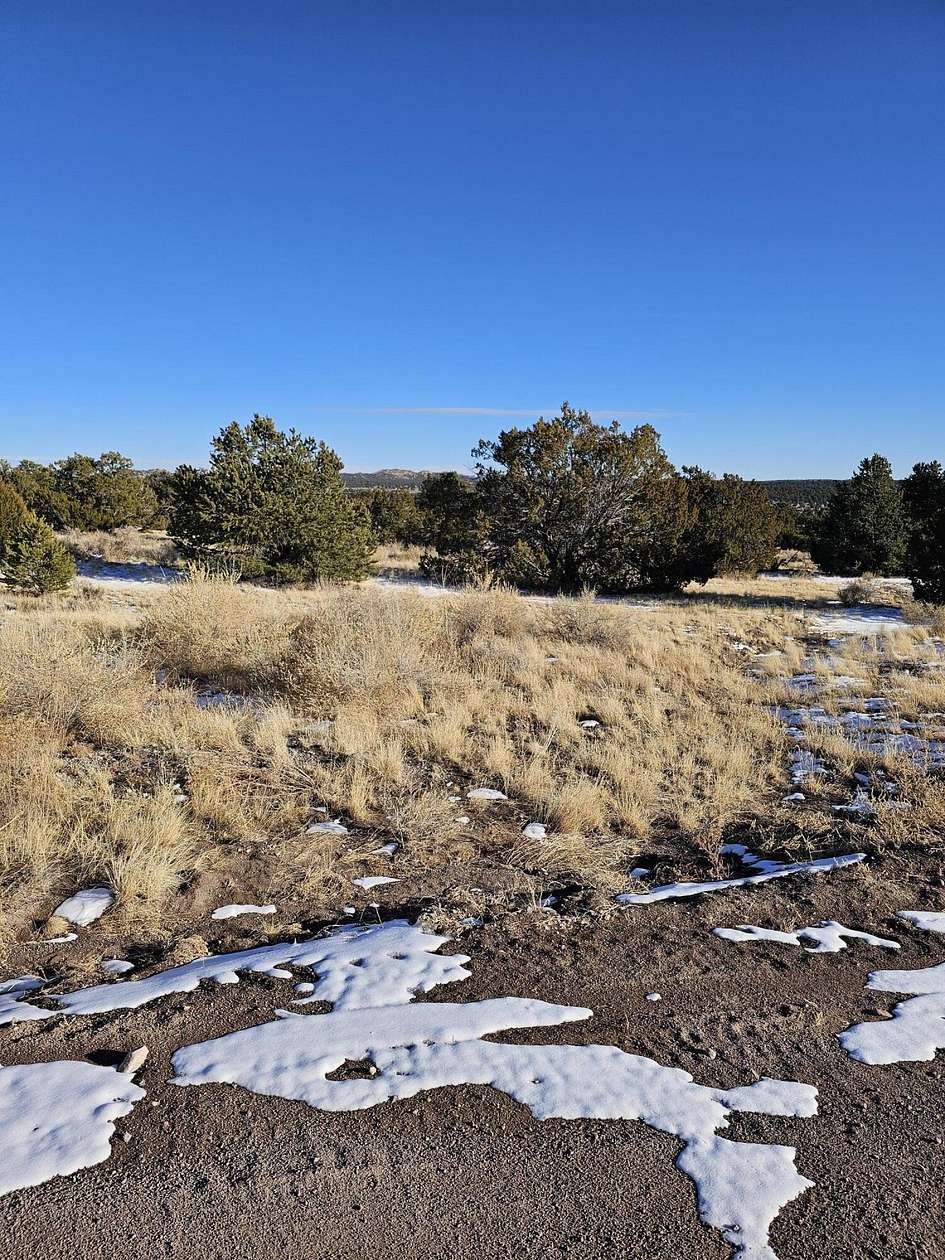 340 Acres of Land for Sale in Pie Town, New Mexico