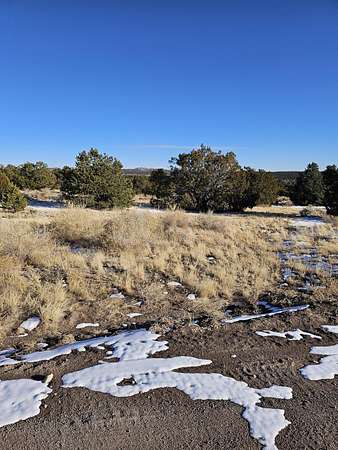 340 Acres of Land for Sale in Pie Town, New Mexico