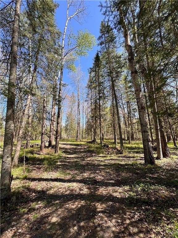 0 Acres of Land for Sale in Lake George, Minnesota