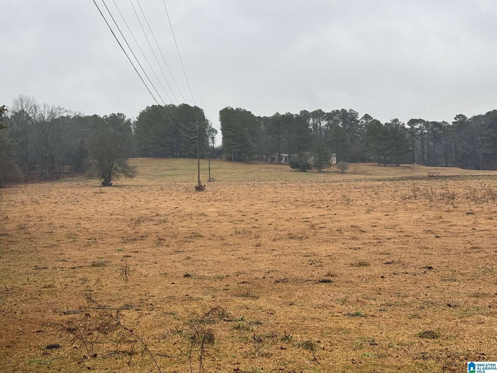 22.7 Acres of Mixed-Use Land for Sale in Cropwell, Alabama