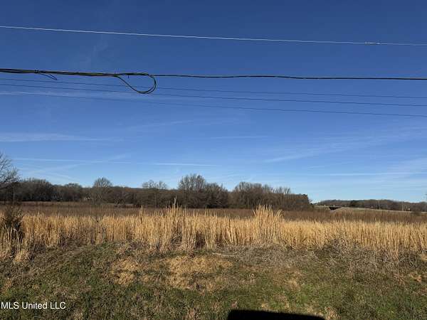 35 Acres of Agricultural Land for Sale in Hernando, Mississippi