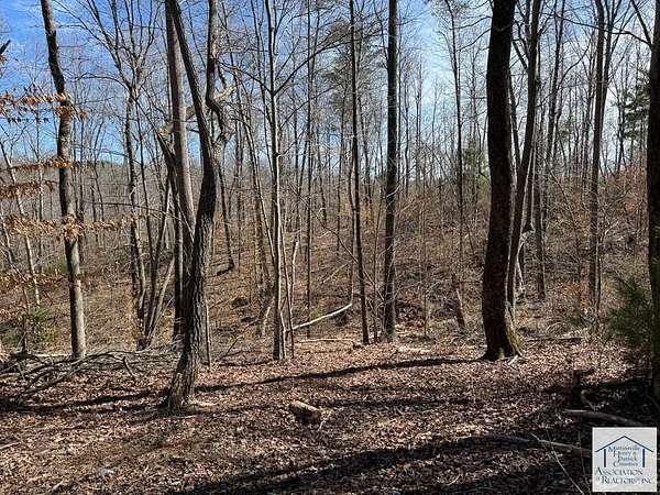 7.4 Acres of Land for Sale in Patrick Springs, Virginia