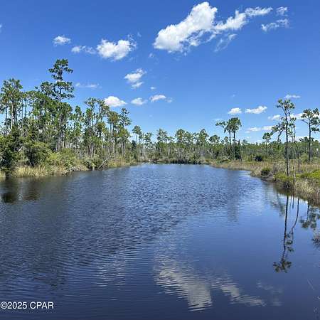 9.69 Acres of Residential Land for Sale in Wewahitchka, Florida
