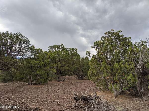 5.28 Acres of Residential Land for Sale in Vernon, Arizona