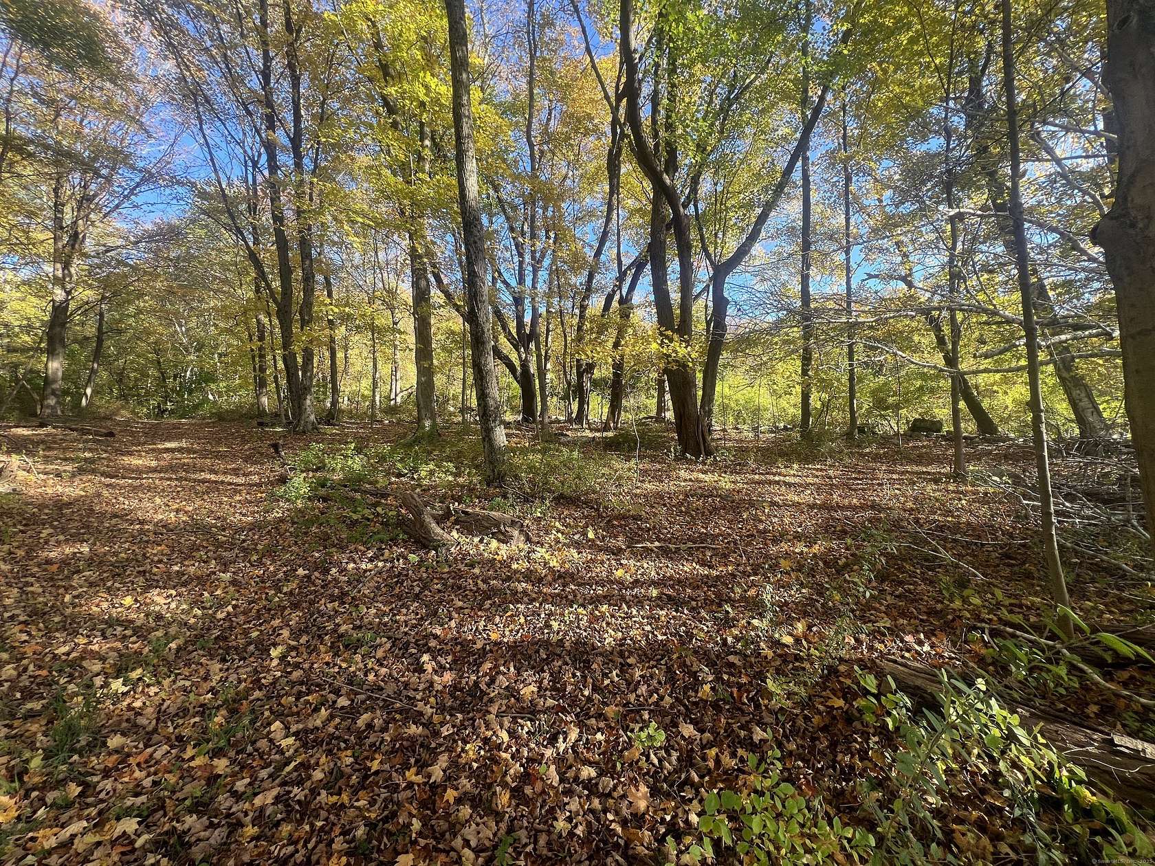 40.2 Acres of Recreational Land for Sale in Kent, Connecticut