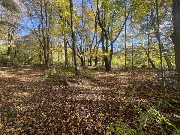 40.2 Acres of Recreational Land for Sale in Kent, Connecticut