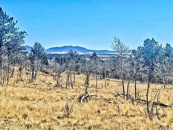 2 Acres of Residential Land for Sale in Como, Colorado